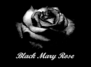 Black Mary Rose Black Mary Rose