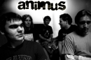 Animus Animus