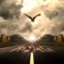 Road Road