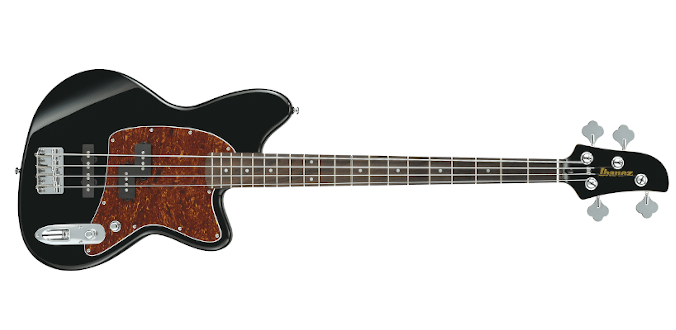 Ibanez TMB100 Talman Bass - �wietny Bas na Start