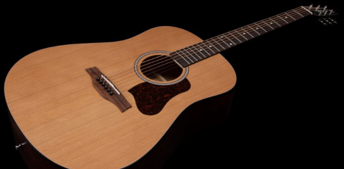 Seagull Guitars – kanadyjski kunszt i d�wi�k inspirowany natur�