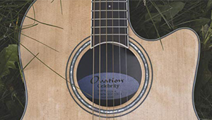 Ovation Celebrity Standard CS24-4 NAT - Mini Test Guitar Center