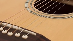 Oscar Schmidt by Washburn OA N - Recenzje gitar