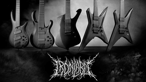 Ibanez Iron Label ICTB721 - test Guitar Center