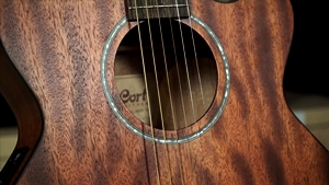 Cort SFX MEM OP - test Guitar Center