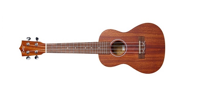 Test ukulele Carter Guitars UKC MAH