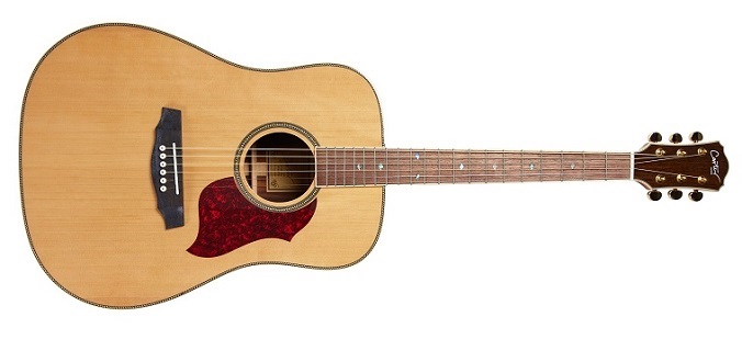 Carter Guitars CD-180S NL - Najlepszy akustyk w tej cenie!