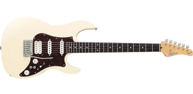 FGN Odyssey Expert AWH - Test Guitar Center