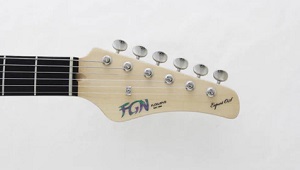 FGN Odyssey Expert AWH - Test Guitar Center