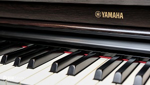 Yamaha Arius- Luksusowe brzmienie i �atwo�� wyra�ania ekspresji!
