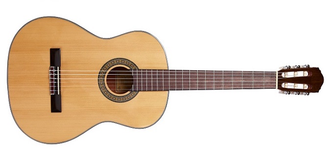 Carter Guitars C-230 NL - Test Guitar Center
