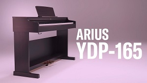 Yamaha Arius - kt�ry model wybra�?