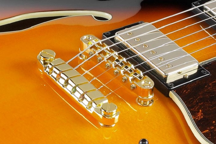 2025年2月購入 Ibanez AS113-BS 2025年2月購入 Ibanez AS113-BS 約3.4kg - メルカリ