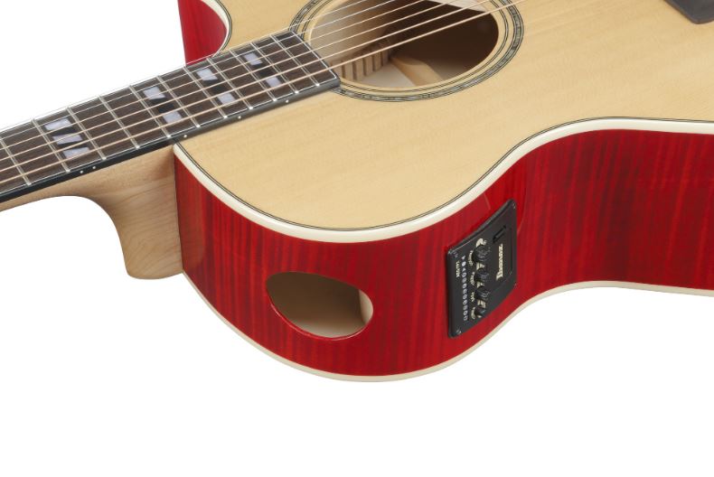 Ibanez AE170 NTR Bok