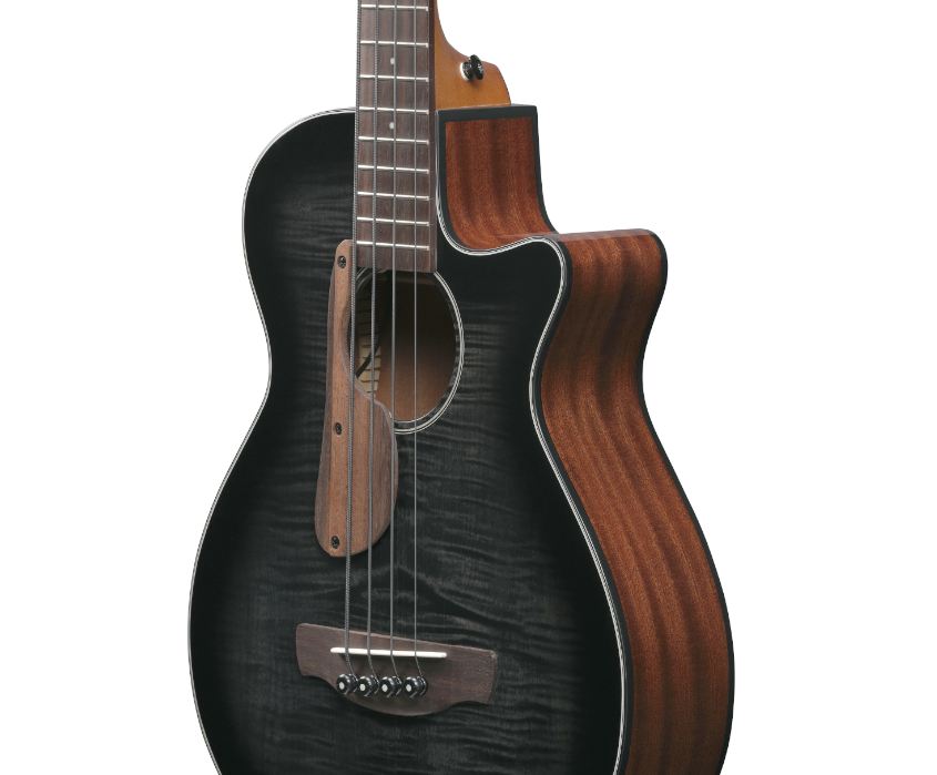 Ibanez AEGB25E TKH Korpus