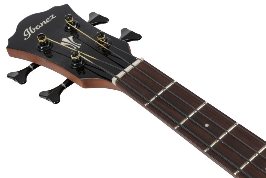 Ibanez AEGB25E TKH G��wka