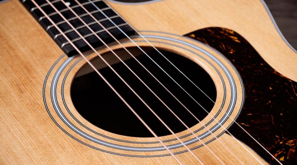 Taylor 214ce Otw�r rezonansowy