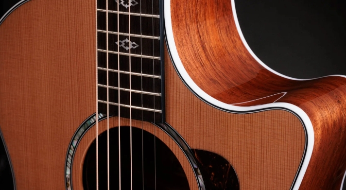 Taylor 514ce 2026 Korpus