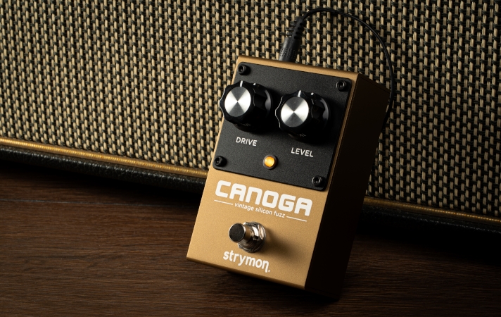 Strymon Canoga Wygl�d