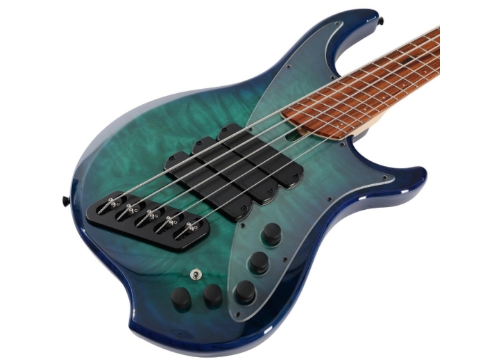 Dingwall CN3-WB5P Combustion C3 5-String Whalepool Burst Korpus