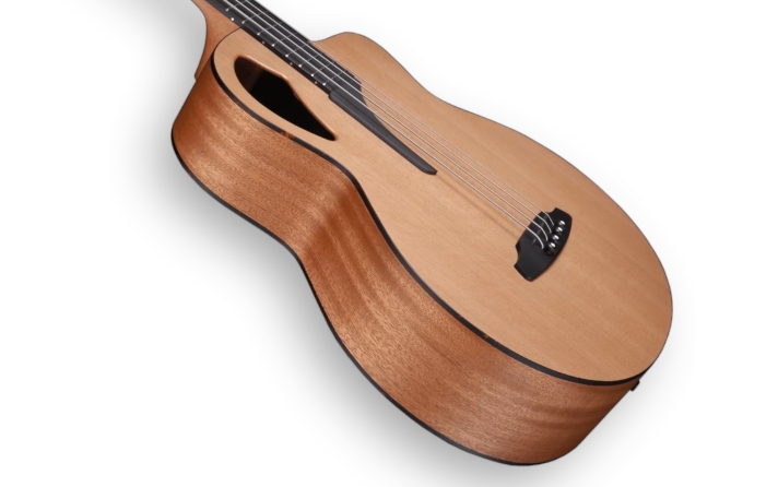 Furch Bc 61-CM 4 LR Baggs Korpus
