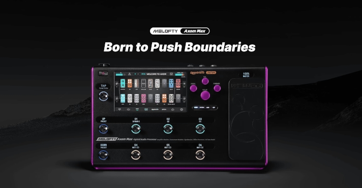 Melofty Axom Max Audio Processor Wygl�d