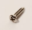 WSC WO2.9 4X13-NI Mount screws
