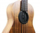 Kala U-Bass Feedback Freezer