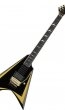 ESP Custom M-I FR Neck-Thru SW
