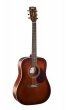 Cort Earth70 BR