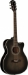 Washburn OA CE FTB