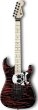 Charvel Warren DeMartini Signature San Dimas Skulls