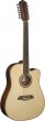 Washburn OD312 CE N