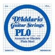 Daddario PL019