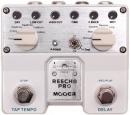 MOOER TDD 1 Reecho Pro