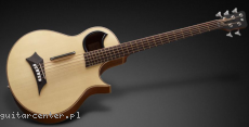 Warwick Alien 5 NTS