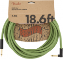 Fender FG186L Pure Hemp Green