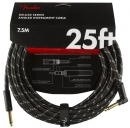 Fender FG25L Deluxe BTWD