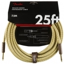 Fender FG25 Deluxe TWD