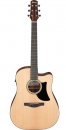 Ibanez AAD50CE LG