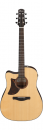 Ibanez AAD170LCE LGS