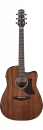Ibanez AAD190CE OPN