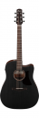 Ibanez AAD190CE WKH