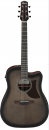 Ibanez AAD50CE TCB