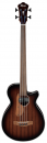 Ibanez AEGB24FE MHS 