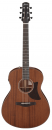 Ibanez AAM740E-LG