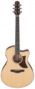 Ibanez AAM700CE-NT