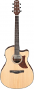 Ibanez AAM50CE-OPN