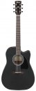 Ibanez AW247CE WKH