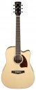 Ibanez PF16WCE NT